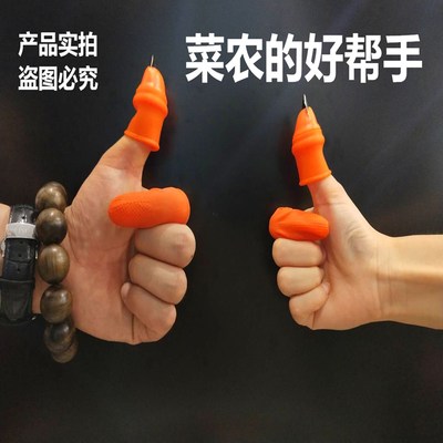 茶叶